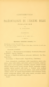 CONTRIBUTION PALEONTOLOGIE DE L`EOCÈNE BELGE