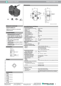 1 Détecteur inductif NCN3-F31-B3B-V1-K