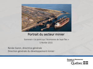 Portrait du secteur minier MERN 2015
