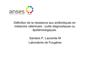 Définition de la résistance aux antibiotiques