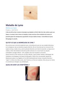 Maladie de Lyme - Cazouls d`Hérault