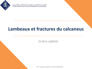 Lambeaux musculaire et fracture du calcaeum