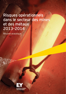Risques opérationnels dans le secteur des mines et des