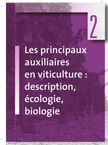 Les principaux auxiliaires en viticulture : description