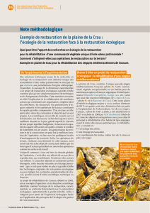Exemple de restauration de la plaine de la Crau : l`écologie d ela