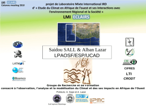 Saidou Sall, LMI ECLAIRS summary_oct2010