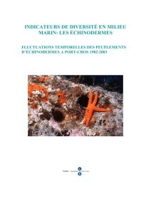 indicateurs de diversité en milieu marin: les échinodermes