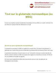 Tout sur le glutamate monosodique (ou MSG)
