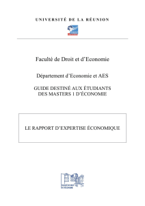 Le rapport d`expertise économique