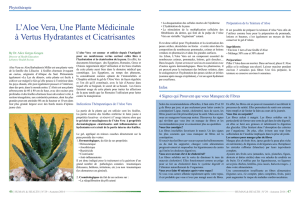 L`Aloe Vera, Une Plante Médicinale à Vertus Hydratantes et