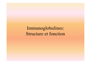 Immunoglobulines: Structure et fonction