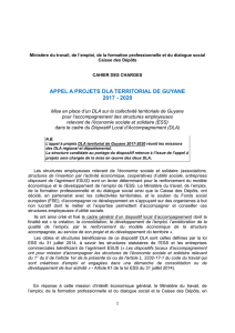 Cahier_des_charges_dla_territorial_v3