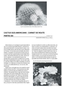 cactus sud-americains : carnet de route partie xix - Sulco