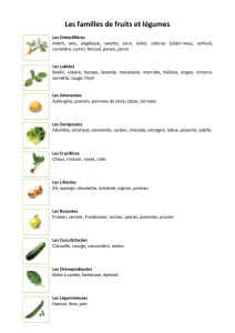 classification fruits légumes