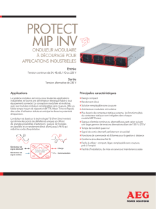 protect mip inv - AEG Power Solutions