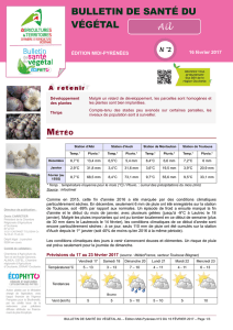 bulletin de santé du végétal - Chambre régionale d`agriculture Midi