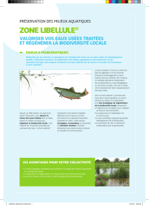 zone libellule - Solutions for Water platform