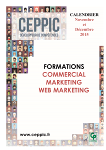 formations commercial marketing web marketing