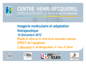 Imagerie moléculaire et adaptation thérapeutique 14 Décembre 2012