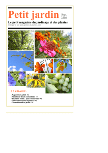Petit jardin - Le petit magazine du jardinage et des plantes