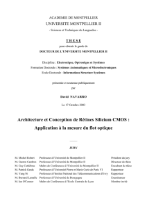 Architecture et Conception de Rétines Silicium CMOS : Application à