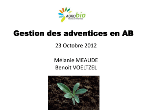 Présentation gestion des adventices - Agrobio Poitou
