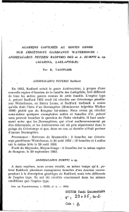 Andreacarus petersi Radford 1952 et A. zumpti n. sp.