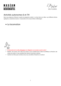 Activités autonomes 6 et 7H • La locomotion