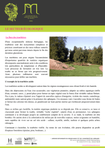 le secteur écologique - Jardin Botanique de Nancy