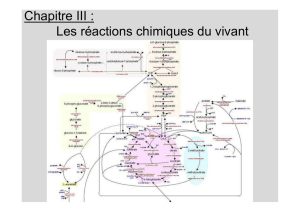 Ch III Réactions chimiques du vivant_mf Anne - bcpst-svt-parc