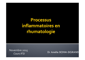 2016- Processus inflammatoire en rhumatologie
