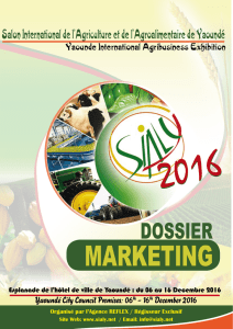 dossier marketing standard web fr