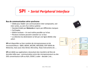 Cours Bus SPI - Bac pro SN