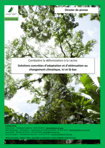 Dossier de presse Combattre la déforestation à la racine Solutions