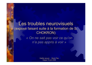 2009_06 - JAOUEN PALU Les troubles neurovisuels S