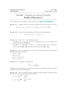 Math206 – Equations aux Dérivées Partielles Feuille d`Exercices 1