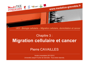 Migration cellulaire et cancer