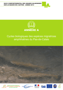 ANNEXE A Cycles biologiques des espèces migratrices