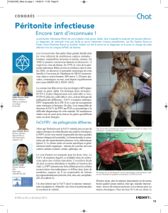 Péritonite infectieuse Chat