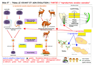 Bilan 5° - Thème LE VIVANT ET SON EVOLUTION / PARTIE C