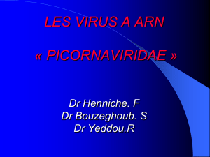 Isolement du virus par culture cellulaire - ceil@univ