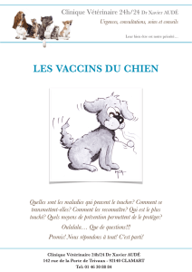 Les Vaccins du Chien - Clinique vétérinaire Dr AUDÉ : urgences et