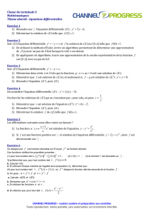 Classe de terminale S Mathématiques Thème abordé : équations