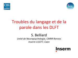 Troubles du langage et de la parole dans les DLFT
