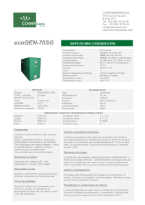 ecoGEN70-SG - Innov-Energies : Micro/mini cogénération gaz et
