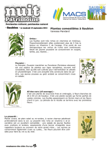 Plantes comestibles à Saubion