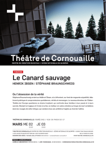 Le Canard sauvage - Théâtre de Cornouaille