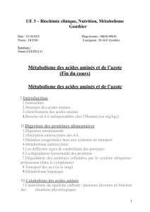 D1-UE3-Gonthier-Métabolisme_des_acides_aminés(2)-2015-word