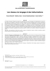 Les réseaux du langage et des hallucinations