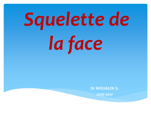 Os du massif facial (PDF, 2.84 Mo) - facmed-univ-oran